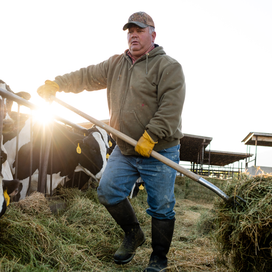 Farmer man working in a field